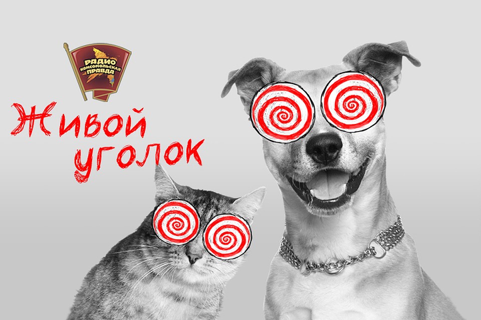 Живой уголок