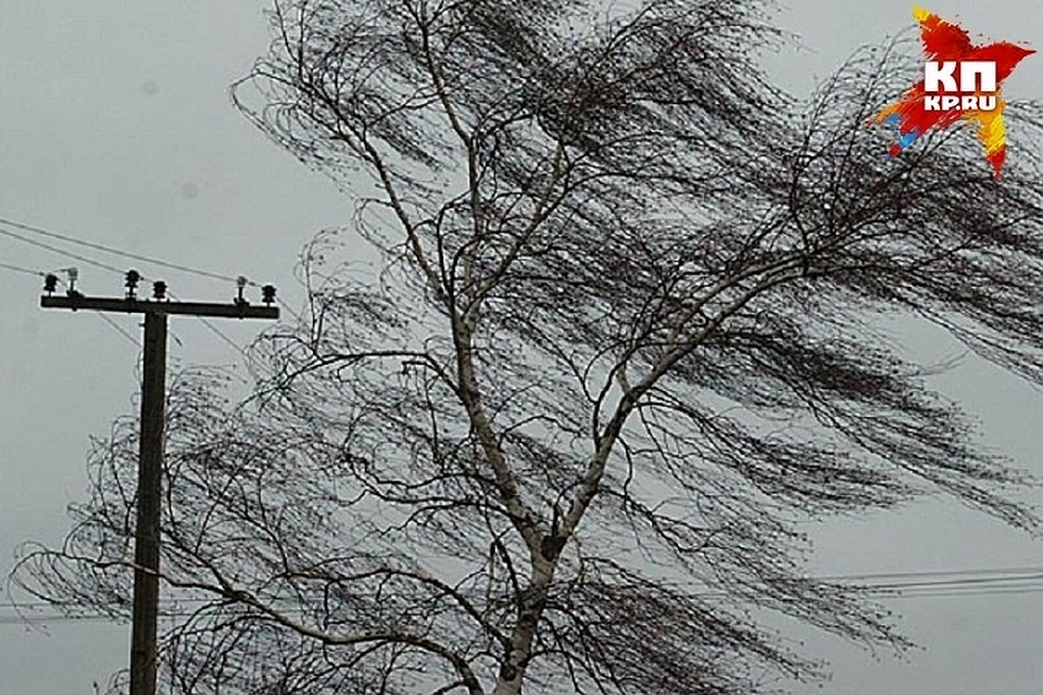 В Татарстане пройдет дождь и сильный ветер Столбики термометров ниже нуля не отпустятся