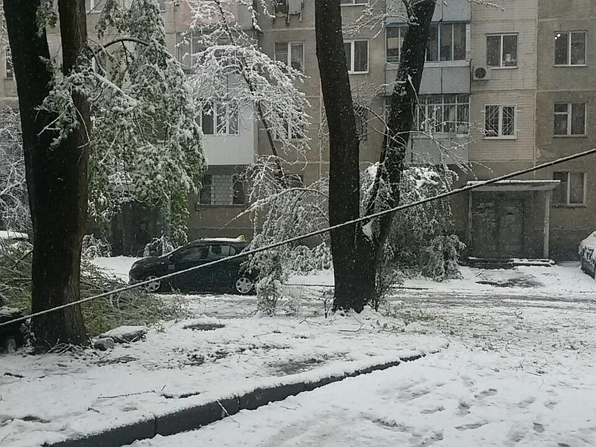 Кишиневские дворы выглядят вот так. Не выводите детей из дома!