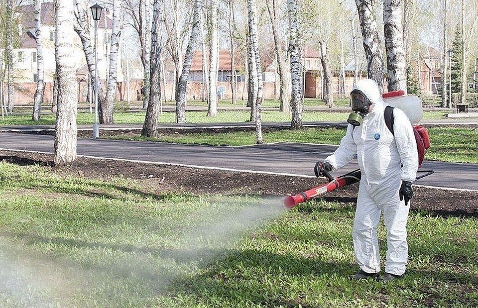 Фото: пресс-служба горадминистрации