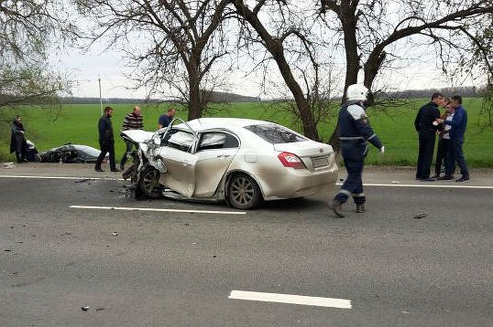 Праздники по краснодарскому краю Праздники по краснодарскому краю