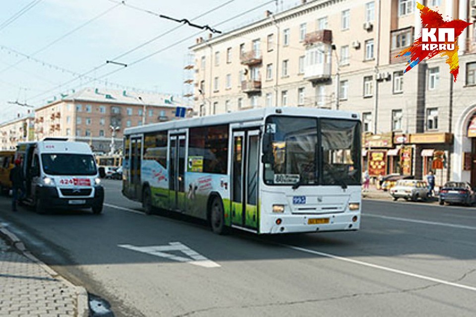 всего в этом году для города закупят 30 новых автобусов.