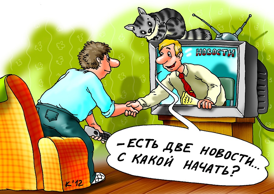 Каким должно быть идеальное политическое ток-шоу России?