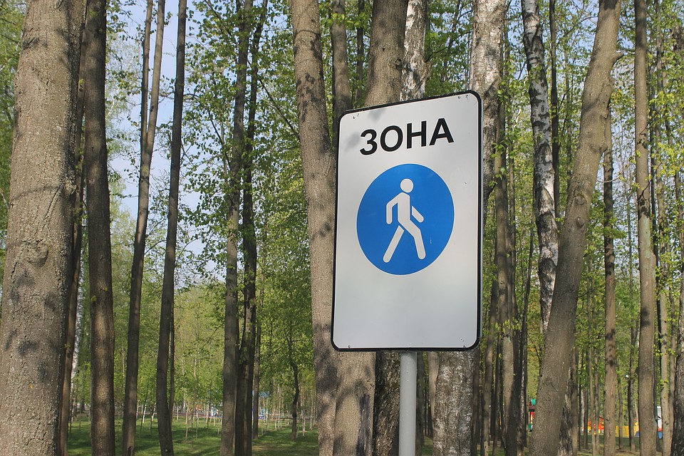 В Воронежской области шофёр наехал на пешехода и исчез В Воронежской области шофёр наехал на пешехода и исчез