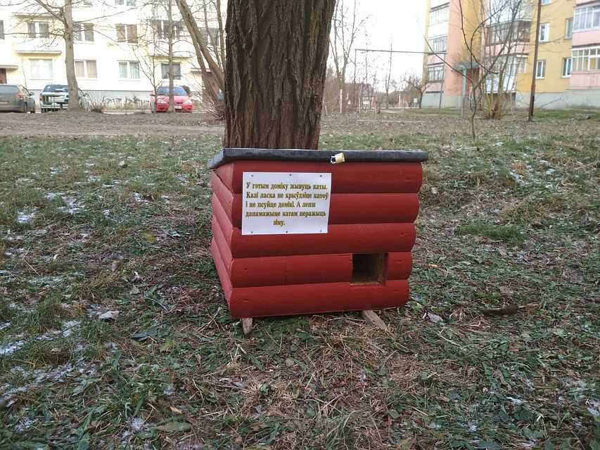 Кобринские коты теперь самые обеспеченные в стране - у них появились собственные коттеджи! Фото: vk.com/lisabona_center