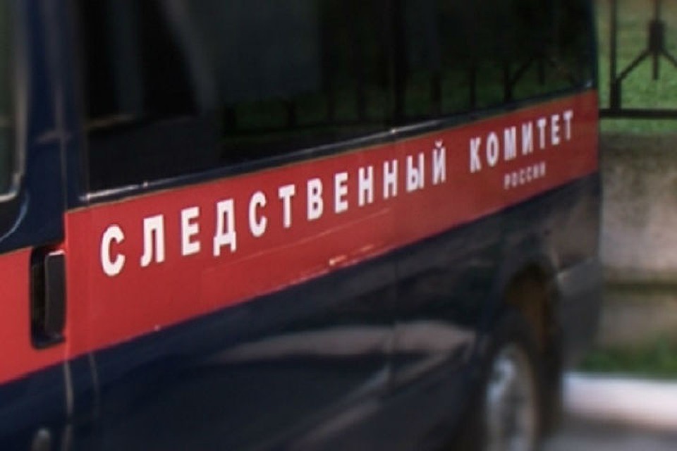 Фото: Следственный комитет России по Петербургу