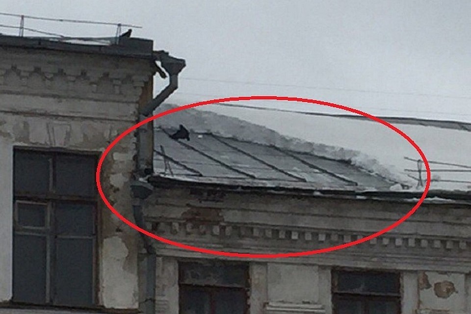 На крыше не было установлено оградительного бортика