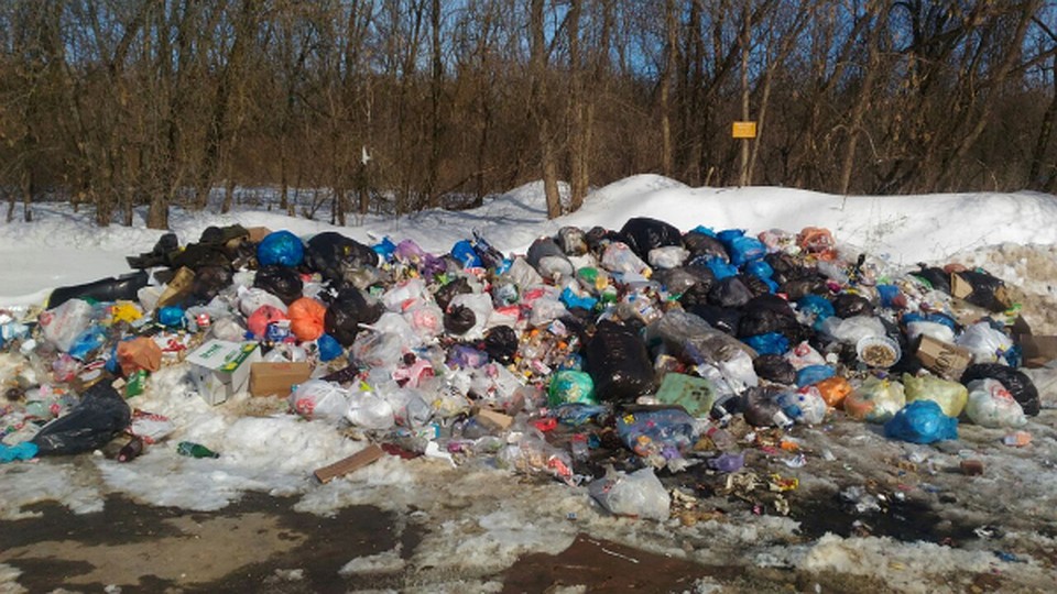 Фото: ОНФ по Орловской области