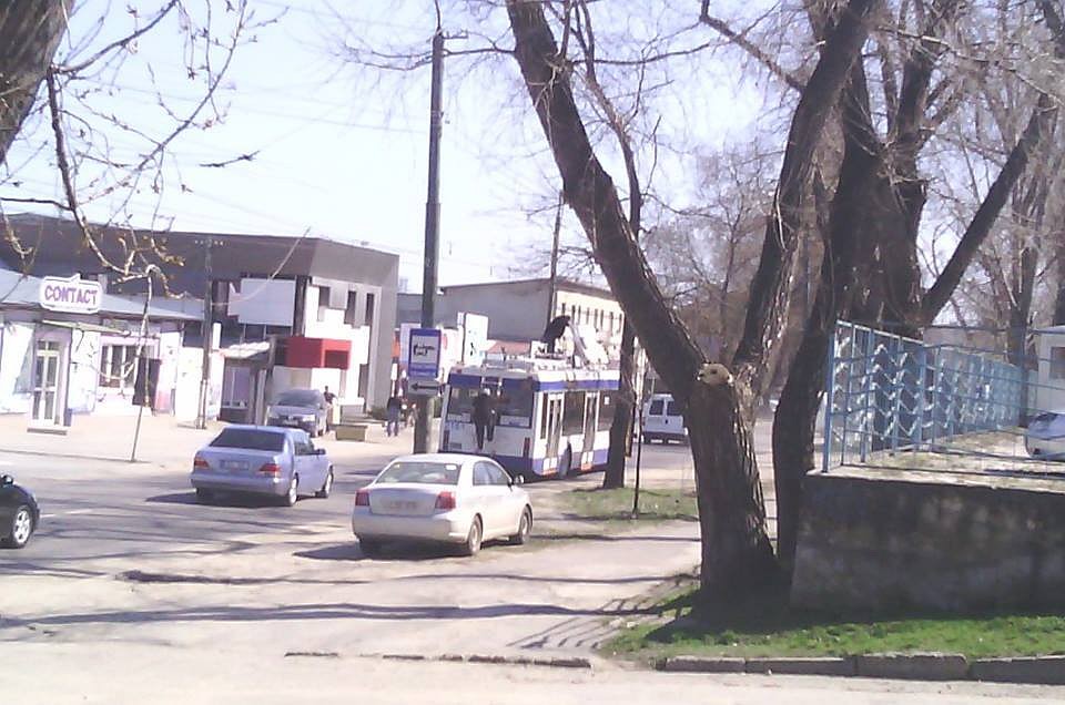 Фото: Янош Сварчук.