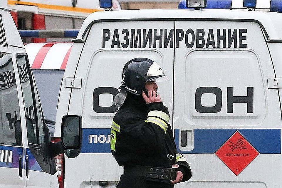 Правоохранители быстро установили личность звонившего. Фото: Петр Ковалев/ТАСС