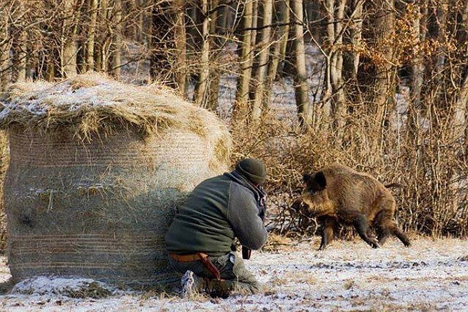Строительство забора на южной границе Дании с Германией с целью предотвращения распространения АЧС может быть неэффективным. Фото: «КП» - в Северной Европе»