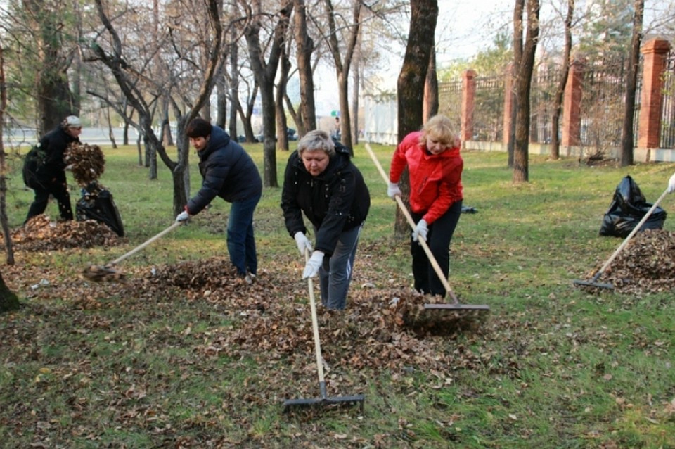 Жителей Хабаровска приглашают на субботник