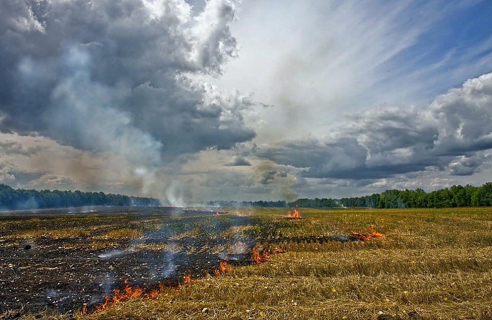 Фото: admkrai.krasnodar.ru