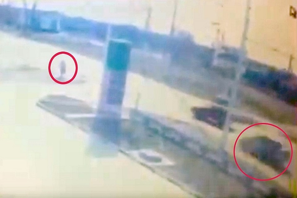 Фото: скриншот видео