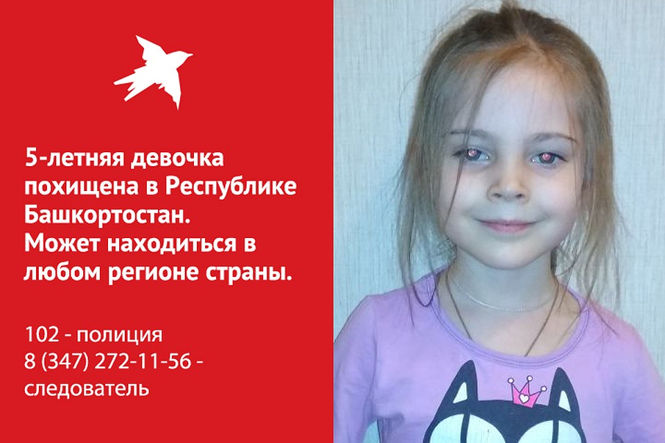 Следователи из Уфы просят нижегородцев о помощи в поисках похищенной 5-летней девочки. Фото: СУ СКР по Республике Башкортостан