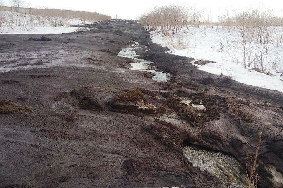 Реку в Тутаеве загадили куриным пометом.