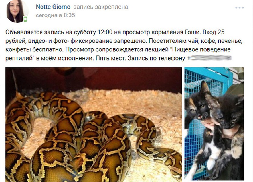 Девушку начали травить в соцсетях за объявление, которого она не публиковала.