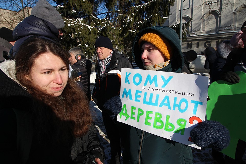 Один из митингов общественности против вырубки и радикальной обрезки деревьев