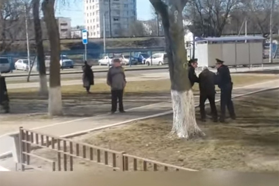 Видео о задержании пенсионера в Орше за переход дороги в неположенном месте вызвало дискуссии в сети. Фото: кадр из видео.