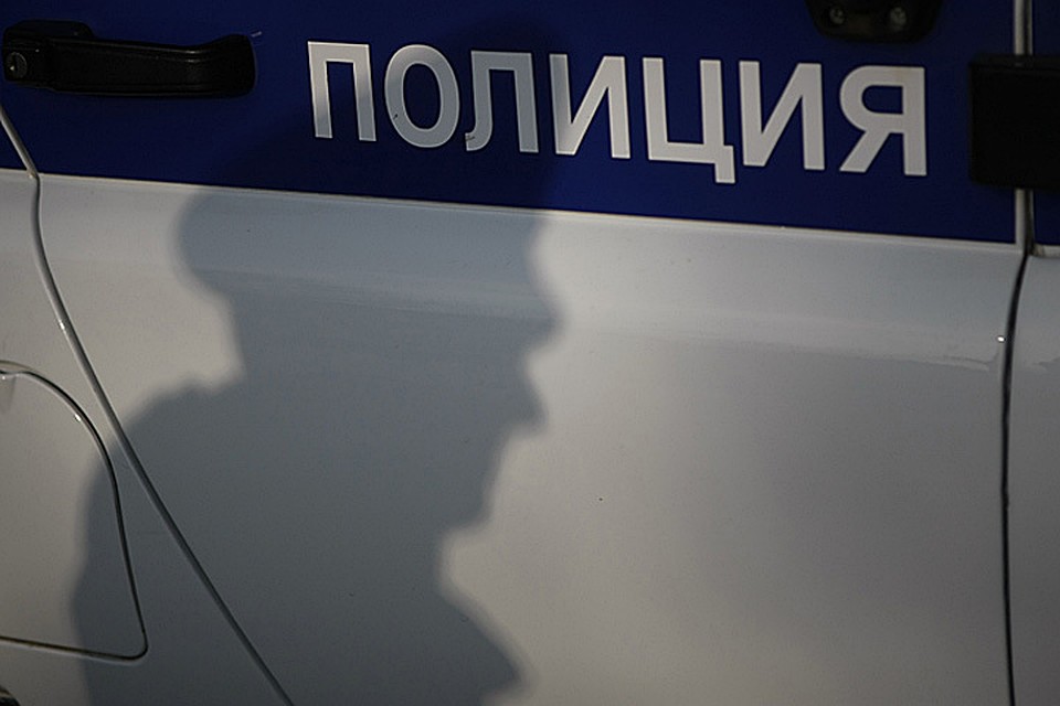 Полицейские поймали юношей на одной краже, а оказалось, что они виноваты еще в шести.