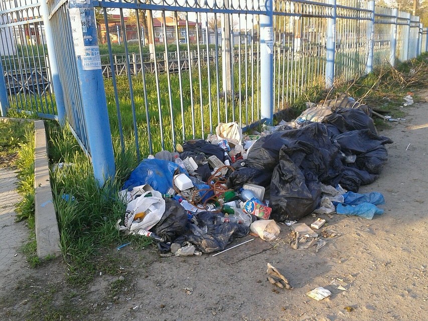 Не исключено, что с появлением нового комплекса, и стихийных свалок на Дону будет меньше. Фото: архив читателя "КП".
