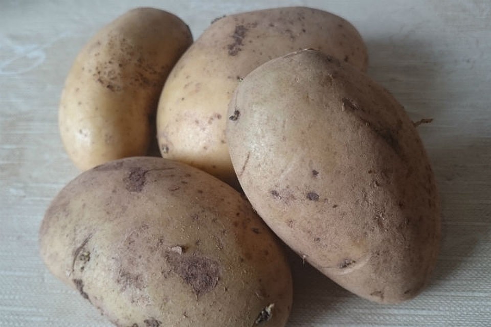Семенной картофель с вирусами продают в Красноярске.