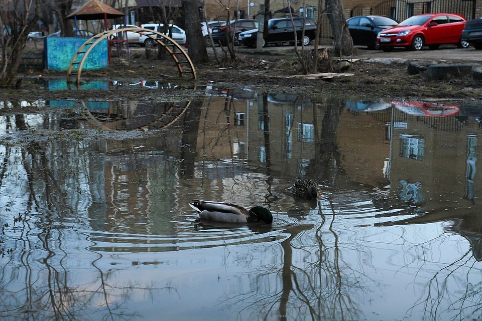Архив