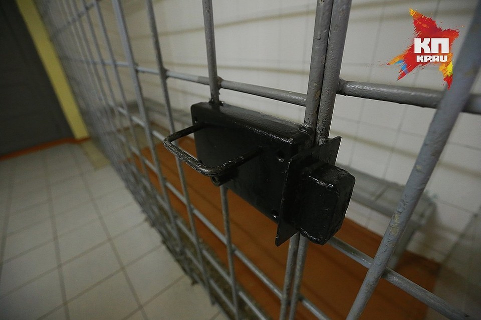 Похитителю грозит до пяти лет колонии