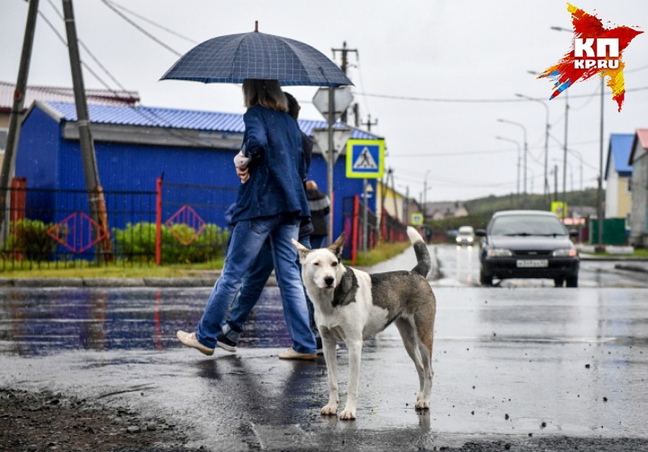 В столице будет сыро