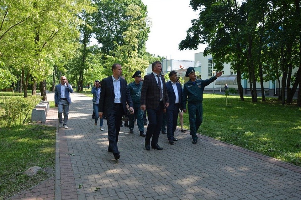 В Бресте из-за упавших деревьев прошло оперативное заседание по ЧС. Фото: Брестский горисполком.