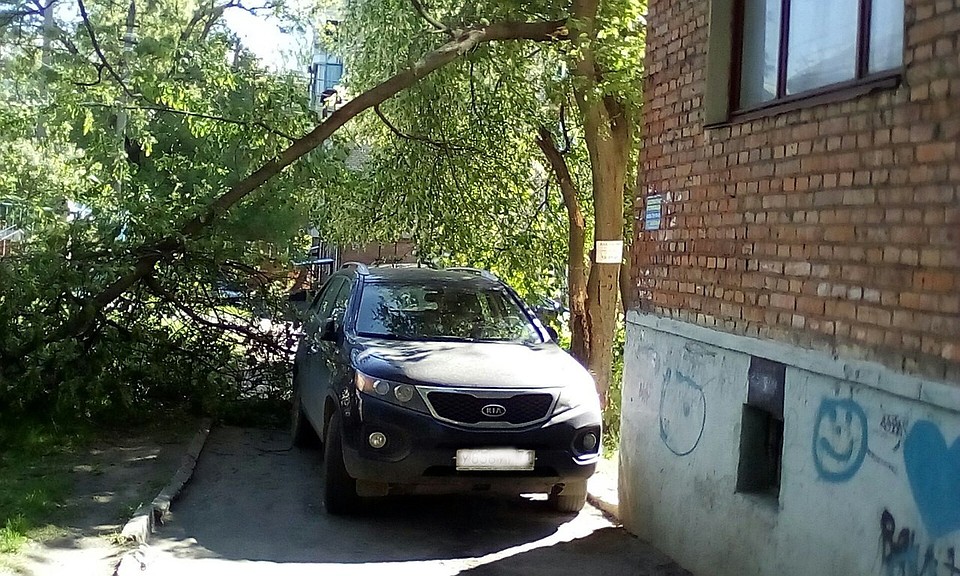 Фото: очевидцы