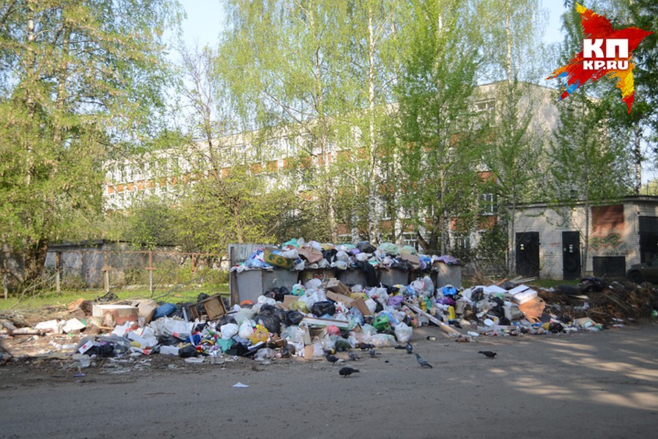 На полигонах будут строить линии сортировки мусора.