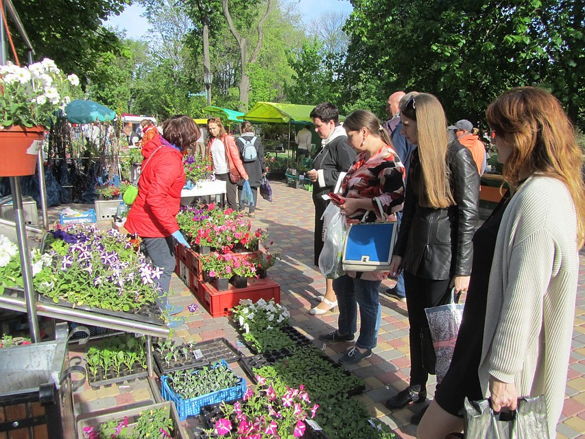 Фестиваль цветов в Тамбове