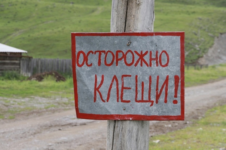 Клещи покусали 663 липчан