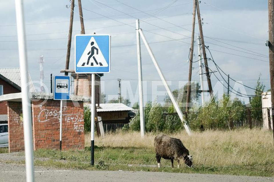 Фото: архив КП