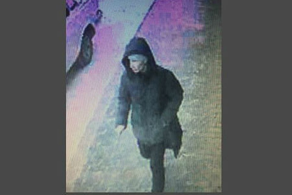 Мужчина среднего телосложения, рост – около 170 сантиметров, на вид 30-35 лет, коротко стриженные черные растрепанные волосы. Фото: ГСУ СК региона