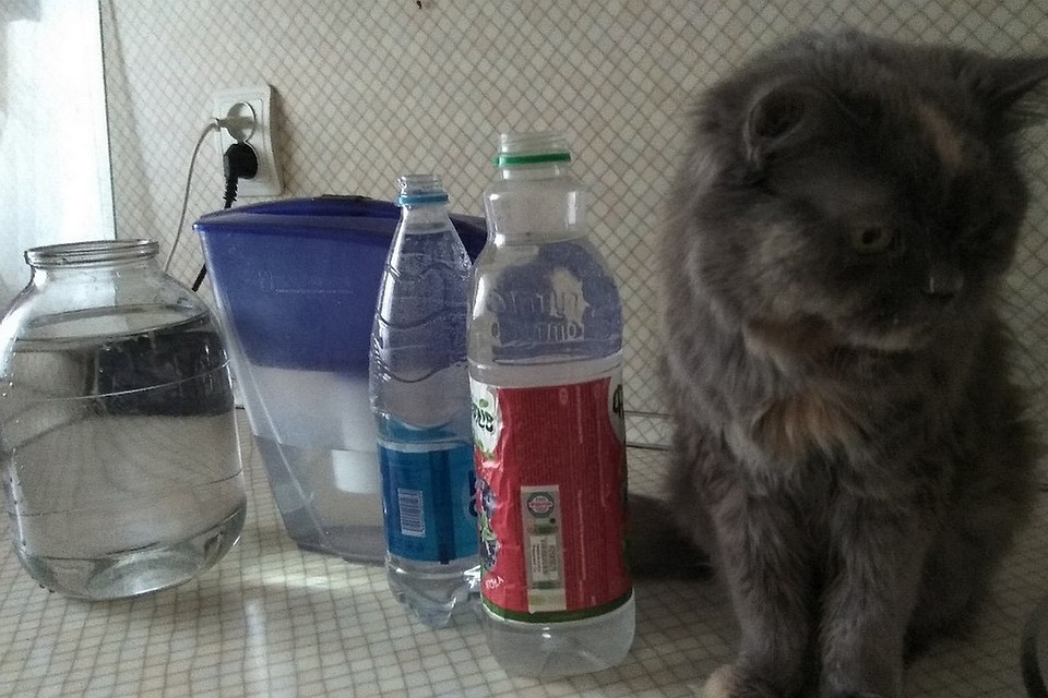 В Липецке отключат холодную воду
