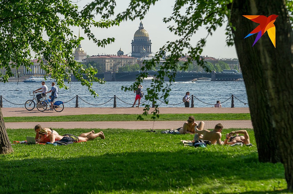 После дождей город еще больше зацветет