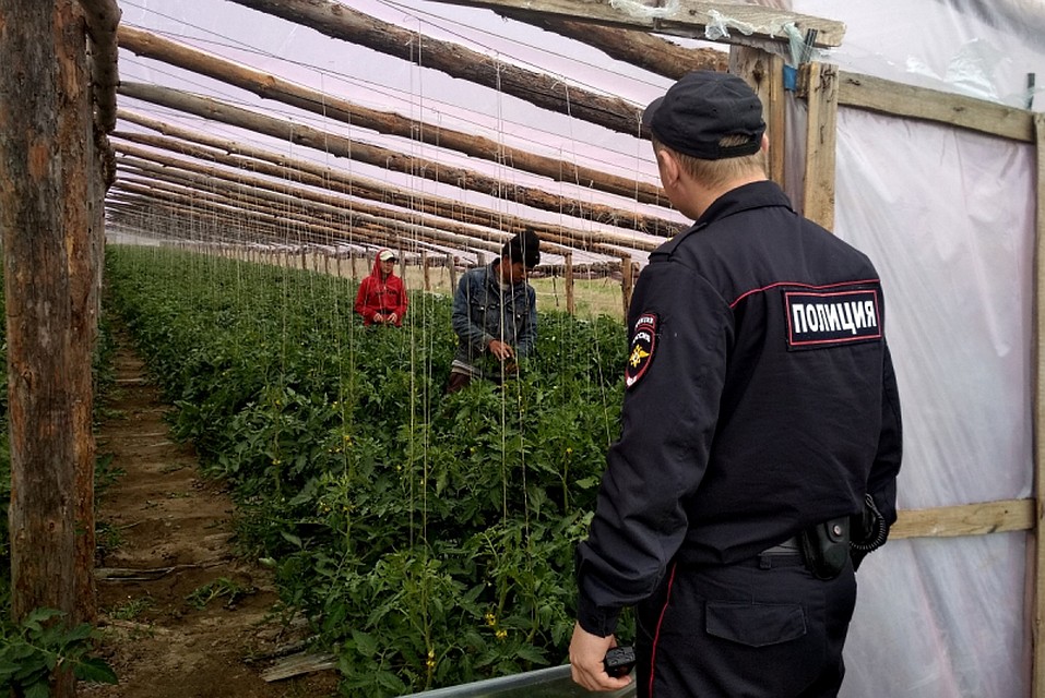 Правоохранители будут устраивать рейды-облавы по всей области.