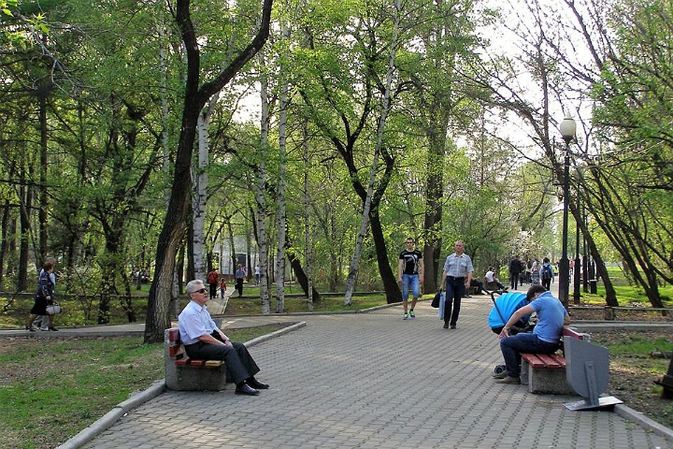 Погода в Хабаровске на 17 мая: днем до +20 градусов, без осадков
