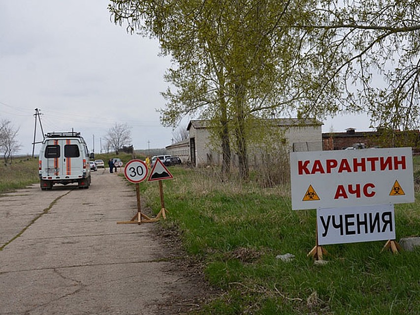 C африканской чумой свиней и взрывом боролись на учениях в Барнауле