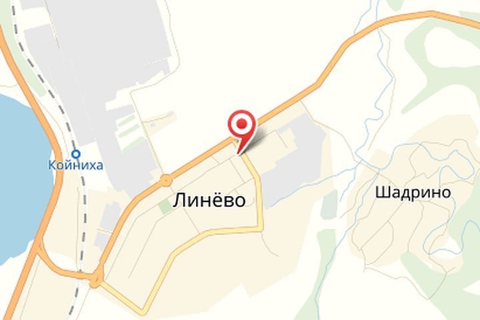 Кто знает, может, на карте Новосибирской области появится Нью-Сингапур... Фото: Яндекс-карты