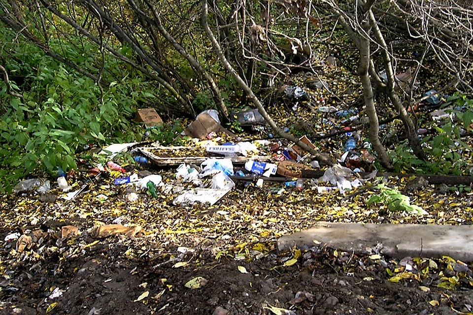 В Мурманской области увеличены штрафы за повторное разбрасывание мусора. С одной тысячи - до трех. Причем, это еще минимальная отметка.