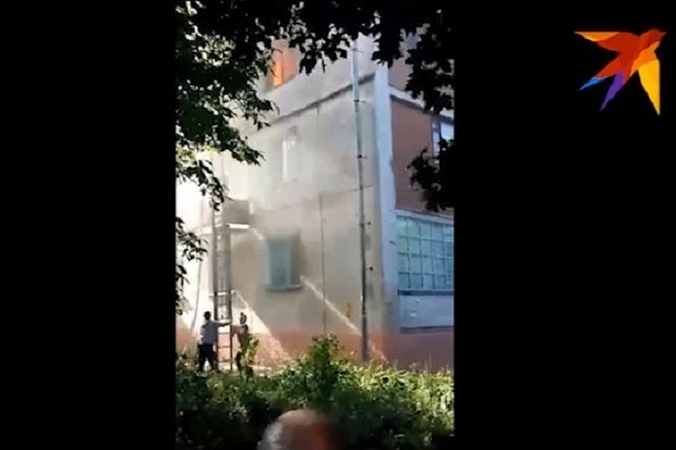 Фото: скриншот видео Александра Донцу