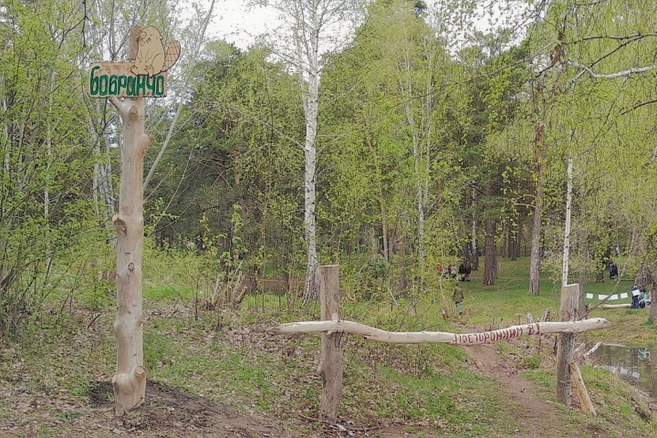 Боброхату огородили 1 июня. Фото: Сергей Алексеев