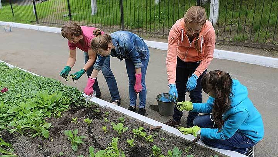 В 2017 году по городу Томску было трудоустроено 1204 подростка. Фото: tvtomsk.ru