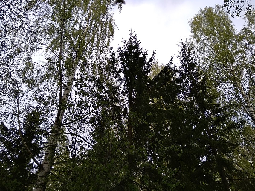 Фото очевидца
