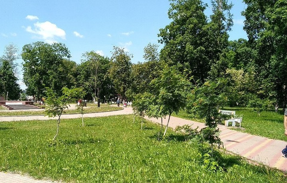 Встречи будут проходить регулярно