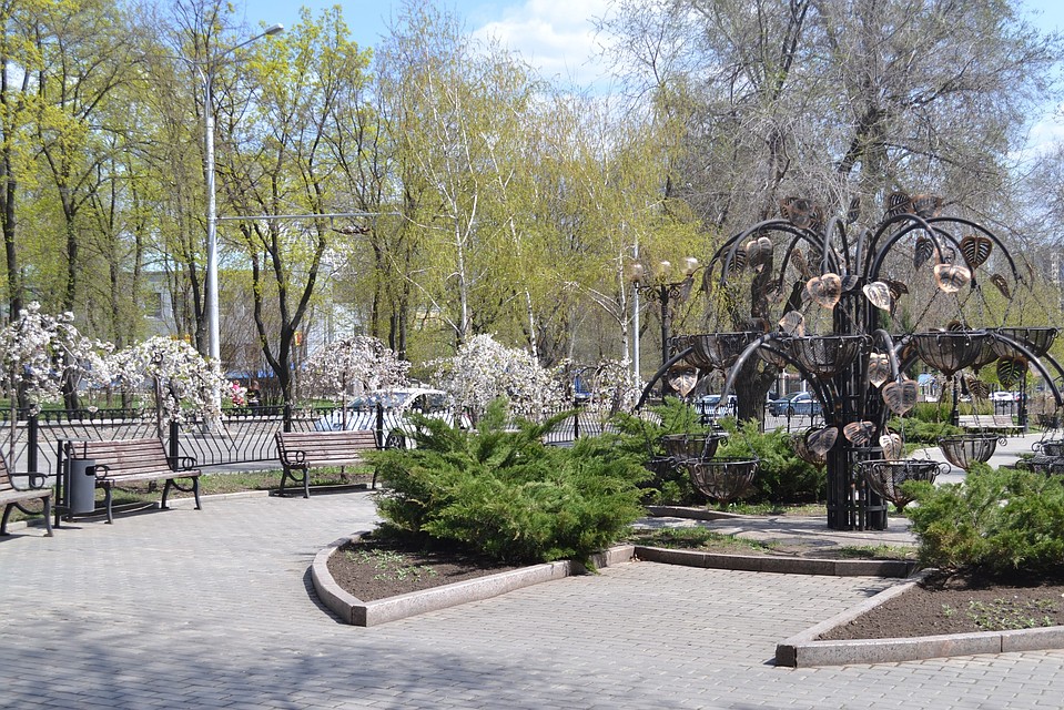 Сегодня в Донецке будет солнечно, но немного прохладно