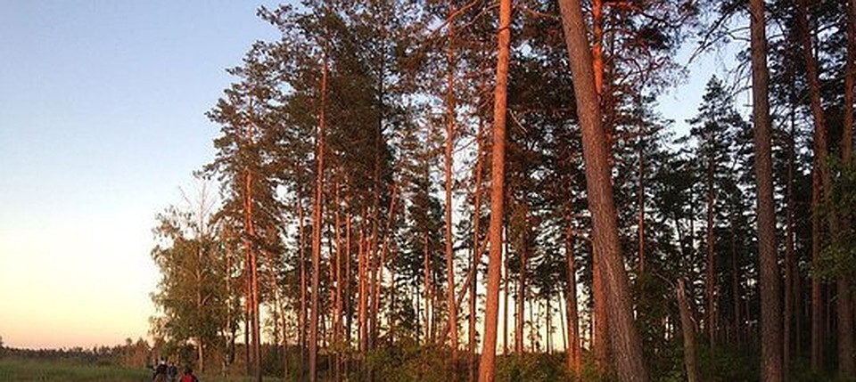 Сотрудники МЧС просят местных жителей быть внимательными и осторожными.